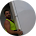 jamie